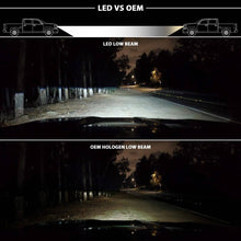 Load image into Gallery viewer, ANZ-111420_02.jpg