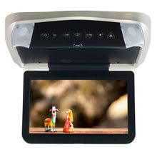 Load image into Gallery viewer, AUD-VODP10_01.jpg