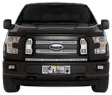 SS SCREEN F150 15-17 XL