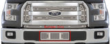 SS SCREEN F150 15-17