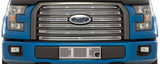 SS SCREEN F150 15-17 XLT