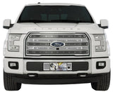 SS SCREEN F150 15-17 LTD