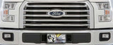 BK.SCREEN F150 15-17 XLT