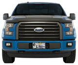 BK.SCREEN 15-17 F150 XLT