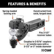 Load image into Gallery viewer, CUR-48012_02.jpg
