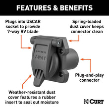 Load image into Gallery viewer, CUR-55416_02.jpg