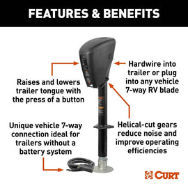 CUR-813748_02.jpg