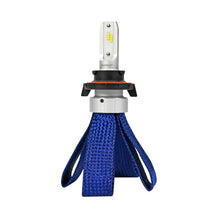 Load image into Gallery viewer, PUT-709007-S_01.jpg