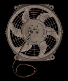 TCI-827250_01.jpg