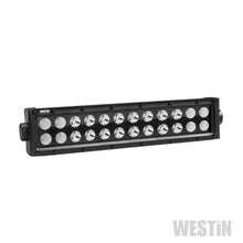 Load image into Gallery viewer, WES-09-12212-24C_01.jpg
