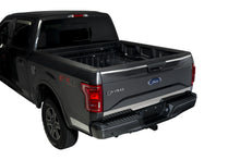 Load image into Gallery viewer, Tailgate Accent; Stainless Steel Upper And Lower Tailgate Trim; 3 pcs.;