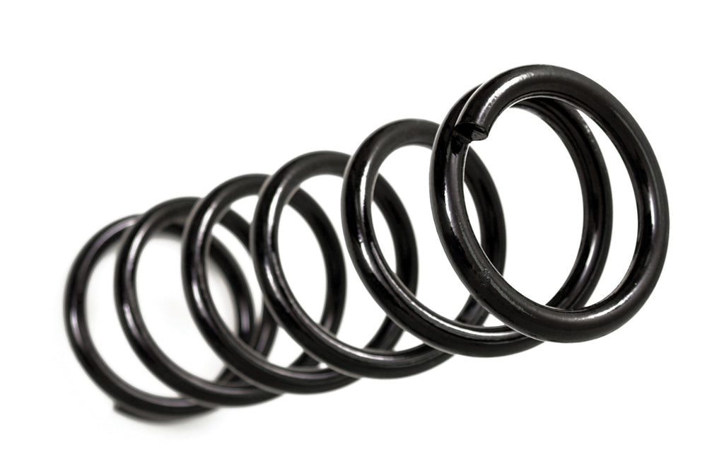 Dodge Ram Coil Springs (Pair)