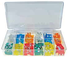 Load image into Gallery viewer, Std/Mini Fuse Variety Pk Std/Mini Fuse Variety Pk 180 - Box