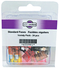 Load image into Gallery viewer, Std Fuse Variety Pk-24 Std Fuse Variety Pk-24